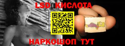 крисы Кунгур