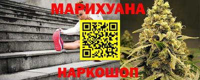 крисы Кунгур