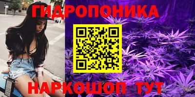 крисы Кунгур