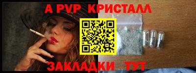 крисы Кунгур