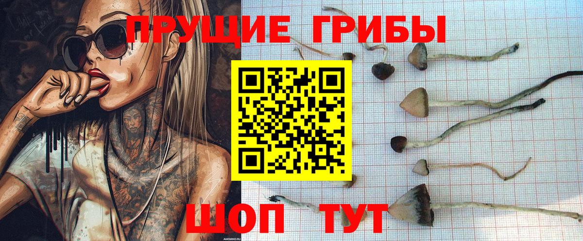 Галлюциногенные грибы мицелий Железноводск