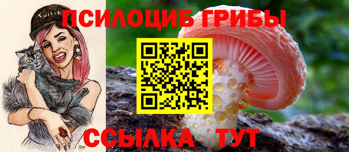наркота  Галлюциногенные грибы Cubensis  Вход с VPN  Железноводск 
